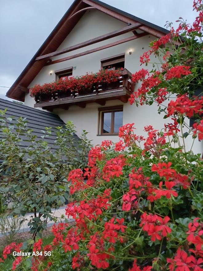 Apartament Pod Bukowym Lasem Meszna エクステリア 写真